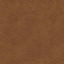 Carianna Loveseat