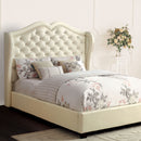 MONROE Ivory Queen Bed - Star USA Furniture Inc