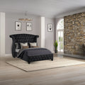 Sophia Bed