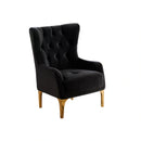 Lippa Chair