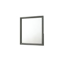 Denver Mirror