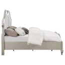 Evangeline Panel Bed with LED Lighting