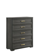 Colorado Chest