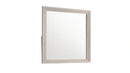 Colorado Mirror