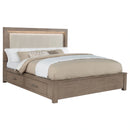 Kenora Panel Platform Storage Bed with LED Lighting