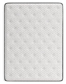 Limited Edition Plush Mattress