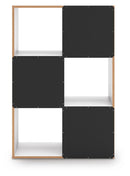Onita Six Cube Organizer