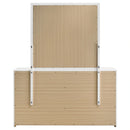 Ines Dresser with Mirror
