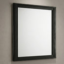 Opel Mirror
