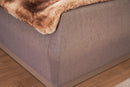 Lorenzo Bed