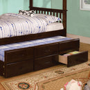 University I Dark Walnut Trundle (3 Drawers) - Star USA Furniture Inc