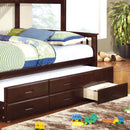 UNIVERSITY Dark Walnut Trundle w/ 3 Drawers - Star USA Furniture Inc