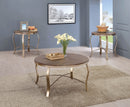 Wicklow Rustic Oak/Champagne 3 Pc. Coffee Table Set - Star USA Furniture Inc