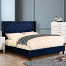 Algol Navy Queen Bed - Star USA Furniture Inc