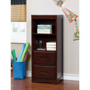 PEARLAND Dark Walnut Book Case - Star USA Furniture Inc
